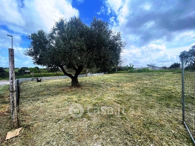 Terreno edificabile in Vendita in Via Monte del Marmo 103 a Roma