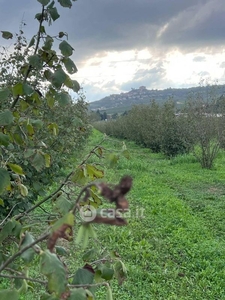 Terreno edificabile in Vendita in Via Valmorterra 1 a Magliano Alfieri