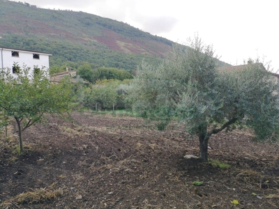 Terreno Edificabile Residenziale in vendita a Sant'Agata De' Goti - Zona: Bagnoli