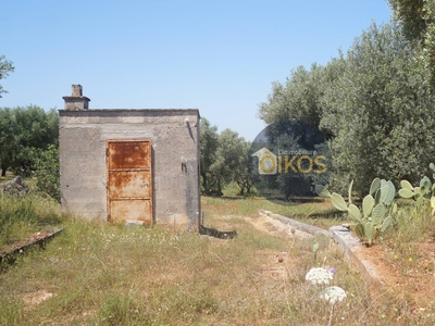 Terreno in vendita, Fasano pezze di greco
