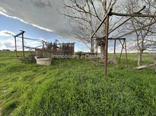 Altro in Vendita a Castiglione del Lago Panicarola