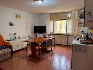 Appartamento in Vendita a Badia Polesine Badia Polesine - Centro