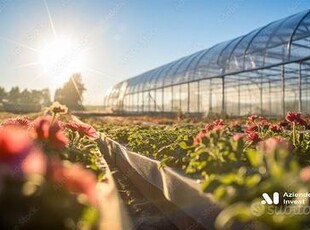 Azienda Florovivaistica - Garden - ID.11739