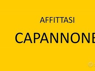 Capannone a Tezze sul Brenta, 1 locali