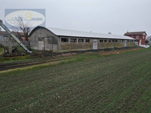 Capannone in Vendita a Argenta Santa Maria Codifiume