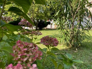 Casa indipendente in Vendita a Montebelluna Pederiva