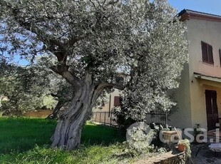 Casa indipendente in Vendita in a Casale Marittimo