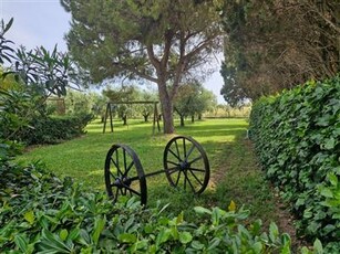 Colonica/casale in buono stato di 300 mq.