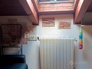 Monolocale mansardato MIRAFIORI SUD 300euro LIBERO