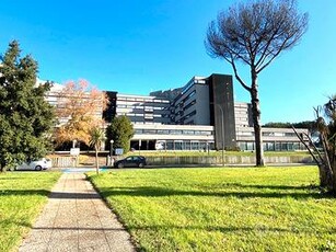 Parco dè medici - Ufficio ampia metratura