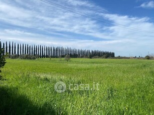 Rustico/Casale in Vendita in Via Fosso Nuovo a Cascina