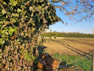 Rustico in Vendita a Cesena Settecrociari