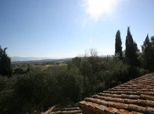 Rustico in Vendita a Foiano della Chiana Foiano della Chiana