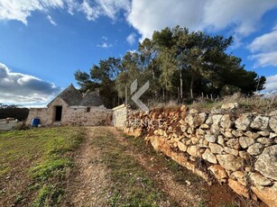 Rustico in Vendita a Martina Franca