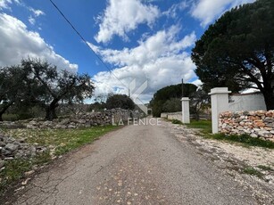 Rustico in Vendita a Martina Franca