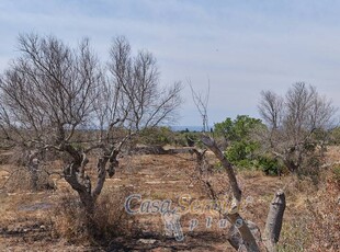 Rustico in Vendita a Taviano