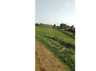 Terreno Agricolo/Coltura in vendita a Pietrasanta, Frazione Marina Di Pietrasanta