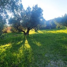 Terreno Agricolo con Ulivi, Simeri Mare ss 106