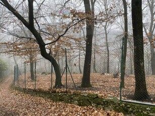 Terreno agricolo in Vendita a Botticino San Gallo