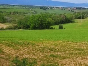 Terreno agricolo in Vendita a Castiglione del Lago Gioiella