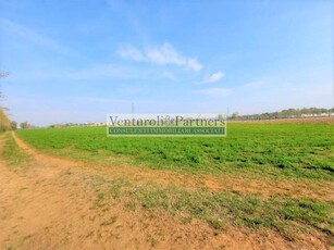 Terreno agricolo in Vendita a Castiglione delle Stiviere