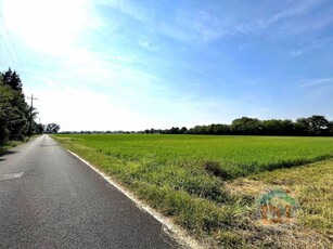 Terreno agricolo in Vendita a Gradisca d'Isonzo Gradisca d 'Isonzo