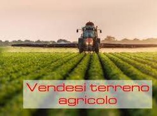 Terreno agricolo in Vendita a Grisignano di Zocco