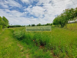 Terreno agricolo in Vendita a Lonato del Garda