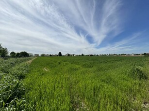 Terreno agricolo in Vendita a Ospedaletto Euganeo Ospedaletto Euganeo