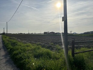 Terreno agricolo in Vendita a San Pietro Viminario San Pietro Viminario