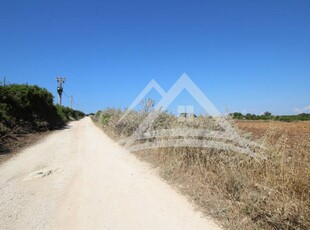 Terreno agricolo in Vendita a Sassari Periferia