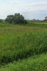 Terreno agricolo in Vendita a Taglio di Po Pisana