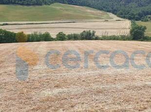 Terreno agricolo in vendita a Tuscania