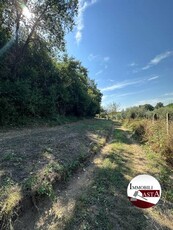 Terreno agricolo in Vendita a Velletri