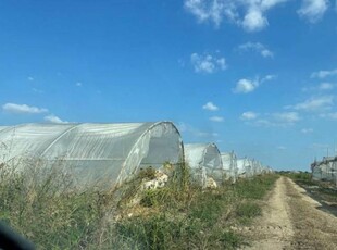 Terreno agricolo in Vendita a Viadana Viadana