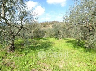 Terreno agricolo in Vendita in a Casciana Terme Lari