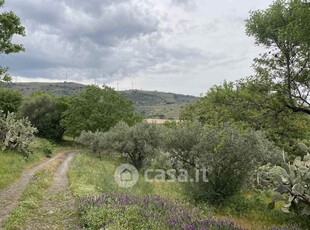 Terreno agricolo in Vendita in a Militello in Val di Catania