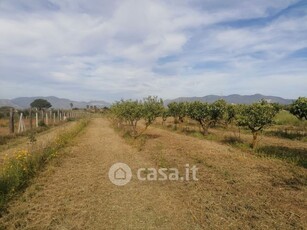 Terreno agricolo in Vendita in a Partinico