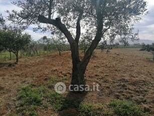 Terreno agricolo in Vendita in a Partinico