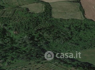 Terreno agricolo in Vendita in a San Miniato