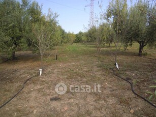 Terreno agricolo in Vendita in Contrada Agnelleria a Belpasso