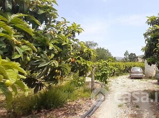 Terreno agricolo in Vendita in Contrada scalambra a Misilmeri