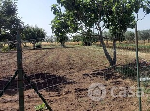 Terreno agricolo in Vendita in DIGA SAGLIOCCIA a Altamura