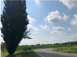 Terreno agricolo in Vendita in Via Marchesa a Legnago