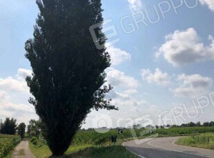 Terreno agricolo in Vendita in Via Marchesa a Legnago