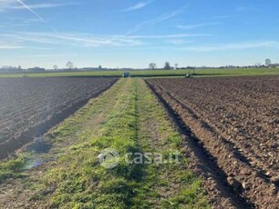 Terreno agricolo in Vendita in Via Ormeolo a Roverchiara