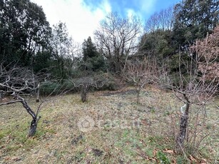 Terreno agricolo in Vendita in Via San Nicola 83 a Nicolosi