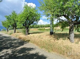 TERRENO AGRICOLO PIANEGGIANTE