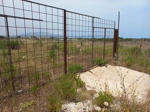 Terreno contrada Bosco Falconeria Partinico