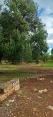 Terreno edificabile in Vendita a Carovigno